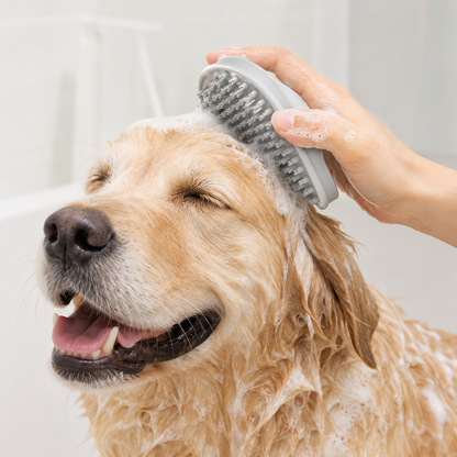 Pet Bath & Massage Brush.